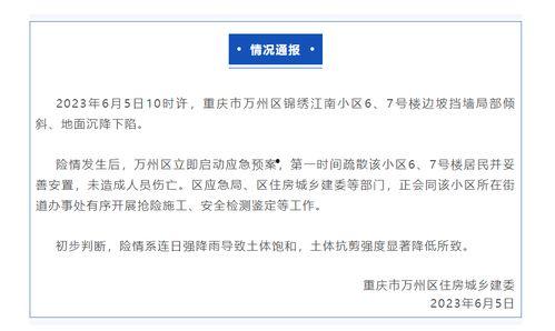 重庆冯先生最新爆料,揭秘某神秘事件背后真相